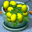 plant tycoon game