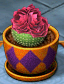 Rosaceae Ball Cactus